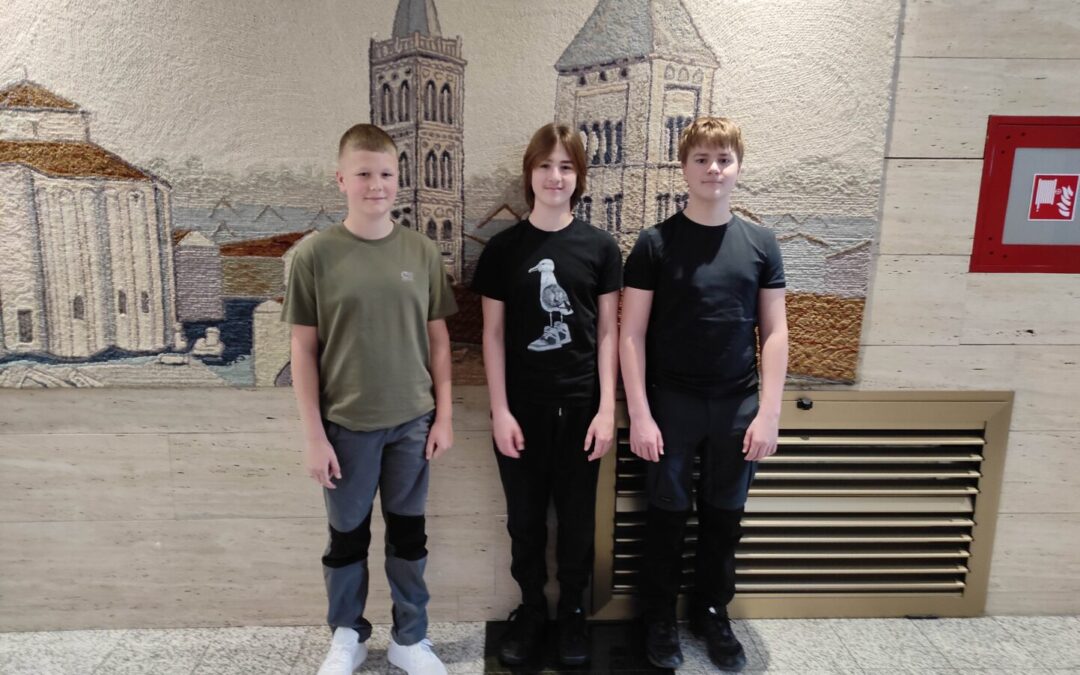 Državno natjecanje Robokup 2026.